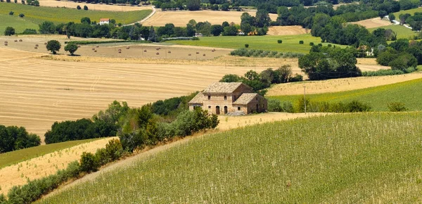 Summer landscape in Marches (Italy) near Ostra — Stock Photo, Image