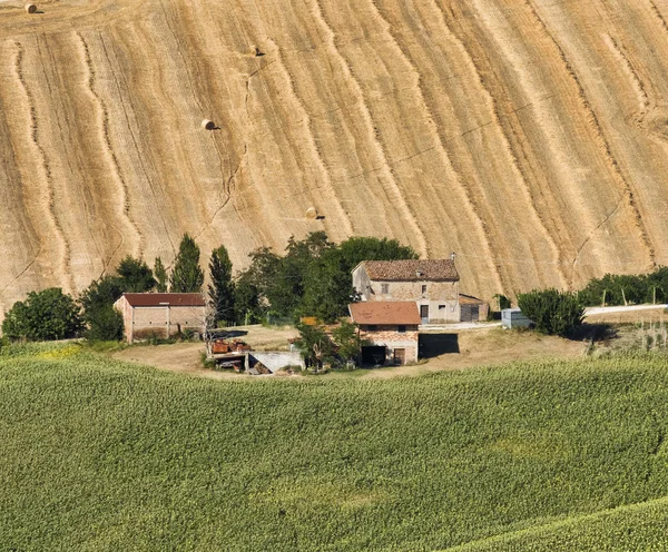 Summer landscape in Marches near Barchi — Stock Photo, Image