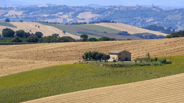 Καλοκαιρινό τοπίο σε πορείες (Ιταλία) κοντά στο Appignano — Φωτογραφία Αρχείου