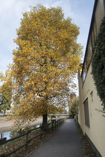 Bike path at Castano Primo along the canal Villoresi — Stock Photo, Image