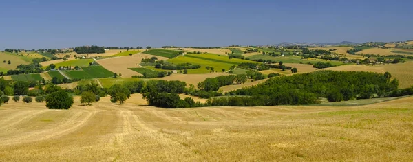 Sommarlandskap i marscher (Italien) nära Appignano — Stockfoto