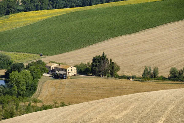 Sommarlandskap i marscher (Italien) nära Appignano — Stockfoto