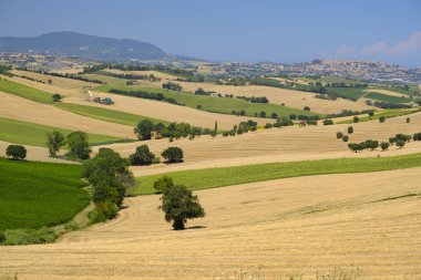 Yürüyüşleri (İtalya) Montefano yakınındaki yaz peyzaj