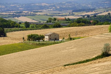 Yürüyüşleri (İtalya) Appignano yakınındaki yaz peyzaj