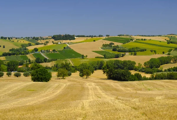 Καλοκαιρινό τοπίο σε πορείες (Ιταλία) κοντά στο Appignano — Φωτογραφία Αρχείου