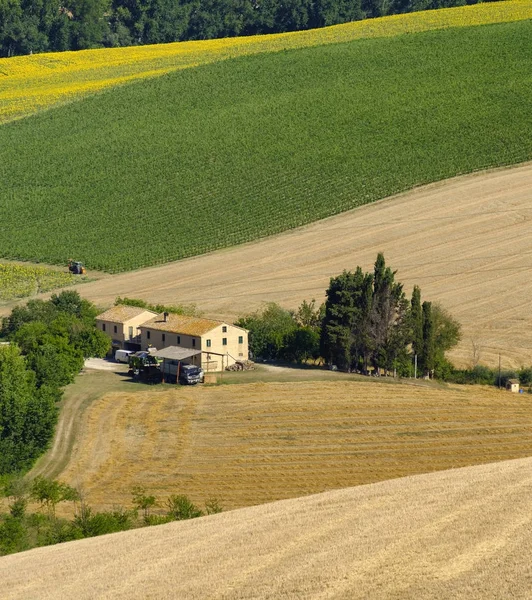 Krajobraz lato w Marche (Włochy) w pobliżu Appignano — Zdjęcie stockowe