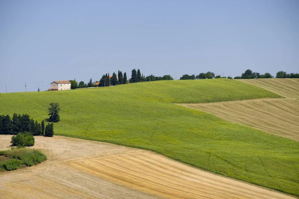 Paisaje de verano en Marches (Italia) cerca de Appignano — Foto de Stock