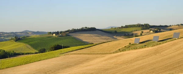 Summer landscape in Marches (Italy) near Filottrano — Stock Photo, Image