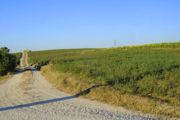 Summer landscape in Marches (Italy) near Filottrano — Stock Photo, Image