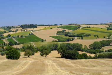 Yürüyüşleri (İtalya) Appignano yakınındaki yaz peyzaj