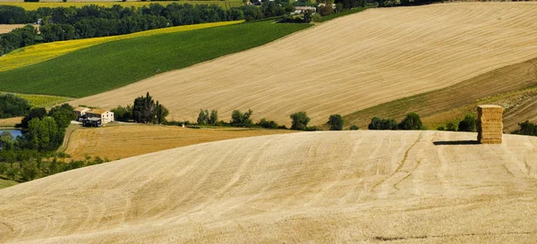 Sommerlandschaft bei Märschen (Italien) in der Nähe von filottrano — Stockfoto