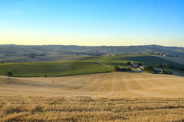 Paisaje de verano en Marches (Italia) cerca de Filottrano —  Fotos de Stock