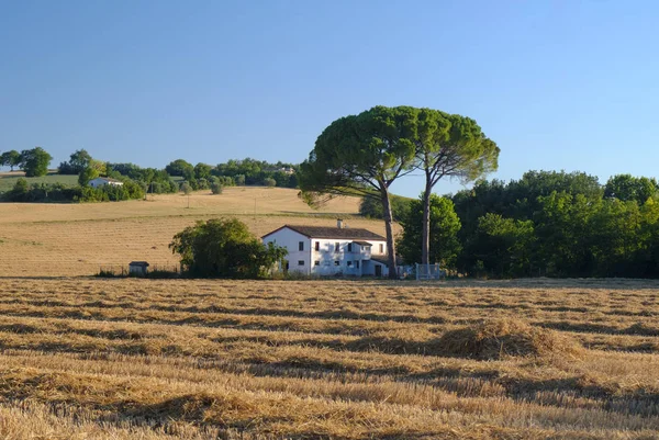 Paisaje de verano en Marches (Italia) cerca de Filottrano — Foto de Stock