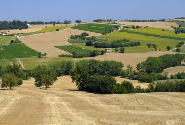 Yürüyüşleri (İtalya) Appignano yakınındaki yaz peyzaj