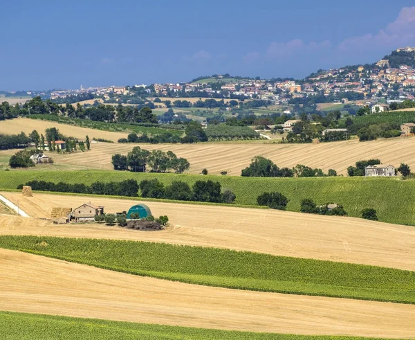 Summer landscape in Marches (Italy) near Montefano — Stock Photo, Image
