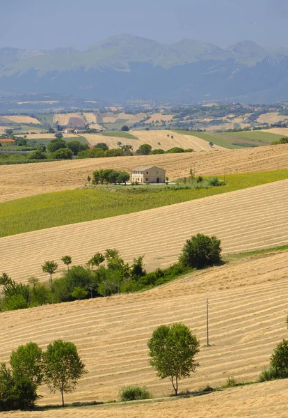 Appignano 近くの行進 (イタリア) での夏の風景 — ストック写真