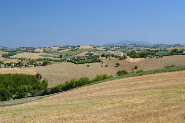 Appignano 近くの行進 (イタリア) での夏の風景 — ストック写真