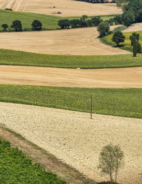 Castelfidardo yakınındaki yürüyüşleri (İtalya) yaz peyzaj