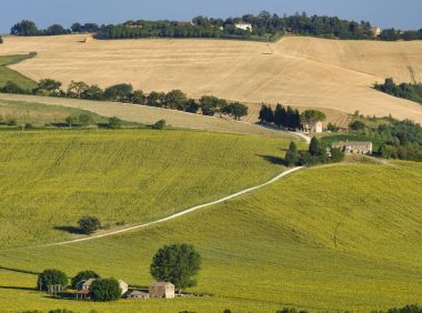 Yürüyüşleri (İtalya) Filottrano yakınındaki yaz peyzaj