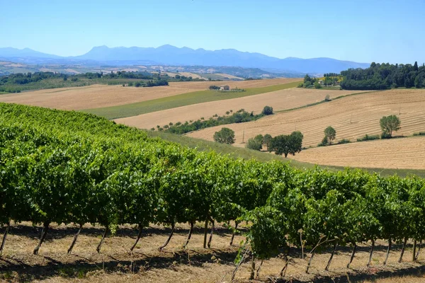 Sommarlandskap i marscher (Italien) nära Appignano — Stockfoto