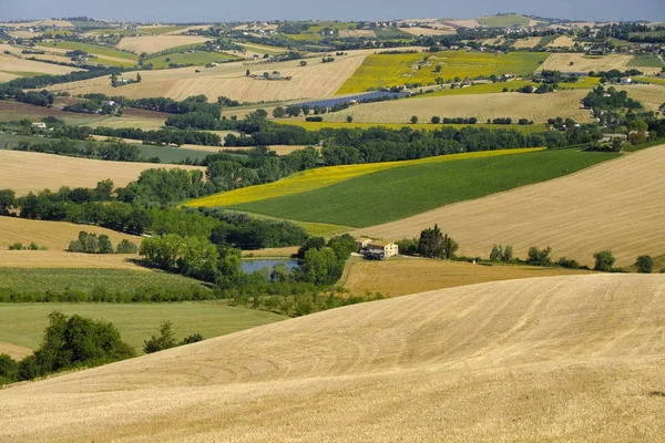 Krajobraz lato w Marche (Włochy) w pobliżu Filottrano — Zdjęcie stockowe