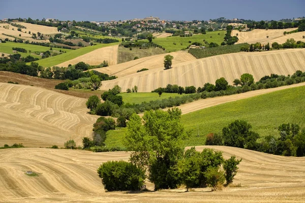Paesaggio estivo nelle Marche (Italia) vicino Ostra — Foto Stock