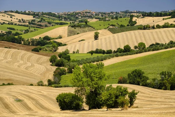 Summer landscape in Marches (Italy) near Ostra — Stock Photo, Image