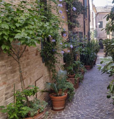 Appignano (yürüyüşleri, İtalya), tarihi Köyü