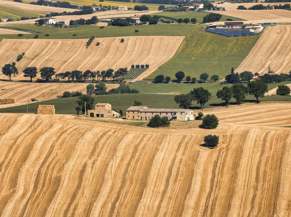 Paysage estival à Marches (Italie) près de Filottrano — Photo