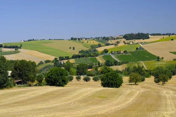 Paisaje de verano en Marches (Italia) cerca de Appignano — Foto de Stock