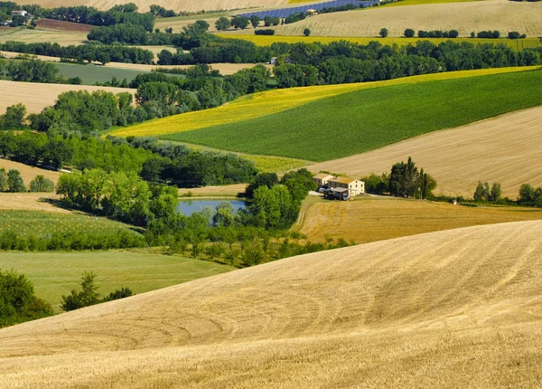 Sommerlandschaft bei Märschen (Italien) in der Nähe von filottrano — Stockfoto