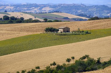 Yürüyüşleri (İtalya) Appignano yakınındaki yaz peyzaj
