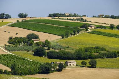 Yürüyüşleri (İtalya) Appignano yakınındaki yaz peyzaj
