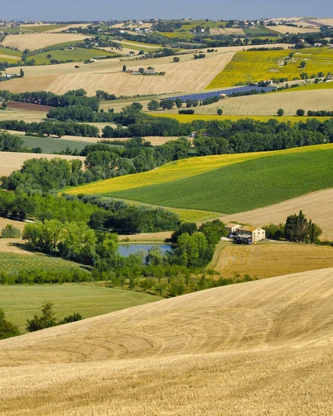 Summer landscape in Marches (Italy) near Filottrano — Stock Photo, Image