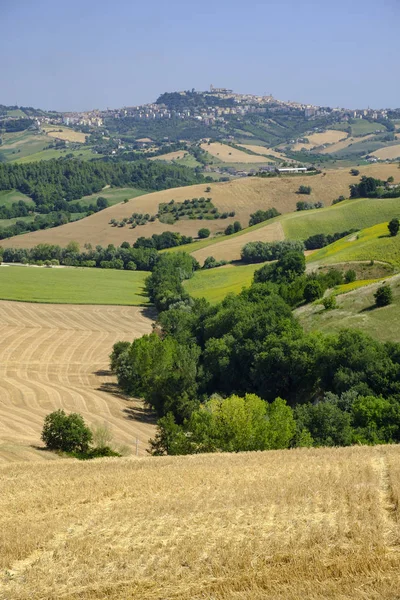 Sommarlandskap nära Monterubbiano (Fermo, marscher) — Stockfoto