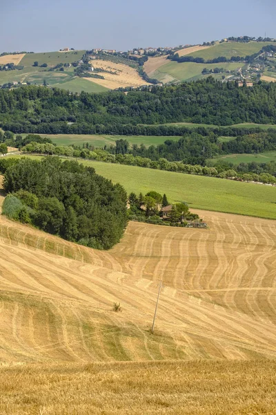 Летний пейзаж рядом с Monterubbiano (Фермо, Марши ) — стоковое фото