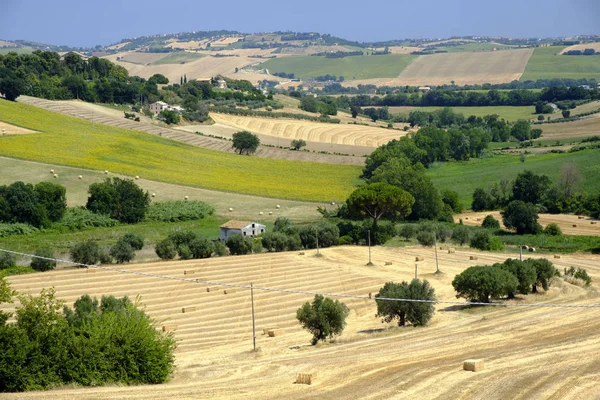 Landschaft in der Nähe von sant 'elpidio a mare (Märsche, Italien) — Stockfoto