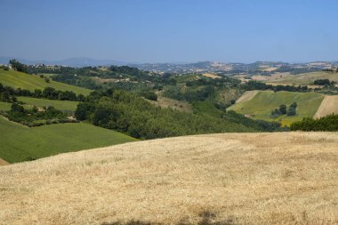 Yaz manzara yakınındaki MONTERUBBIANO (Fermo, marşlar)