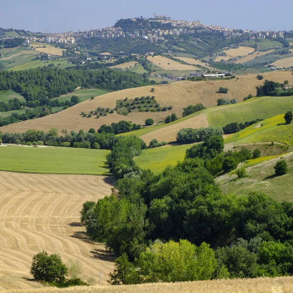 Nyári táj közelében Monterubbiano (Fermo, indulók) — Stock Fotó