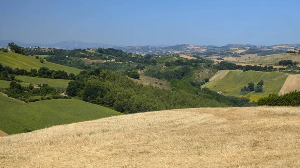 Летний пейзаж рядом с Monterubbiano (Фермо, Марши ) — стоковое фото