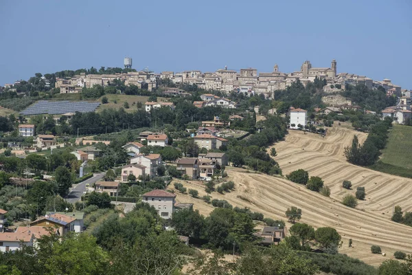 Landscape near Sant'Elpidio a Mare (Marches, italy) — Stock Photo, Image