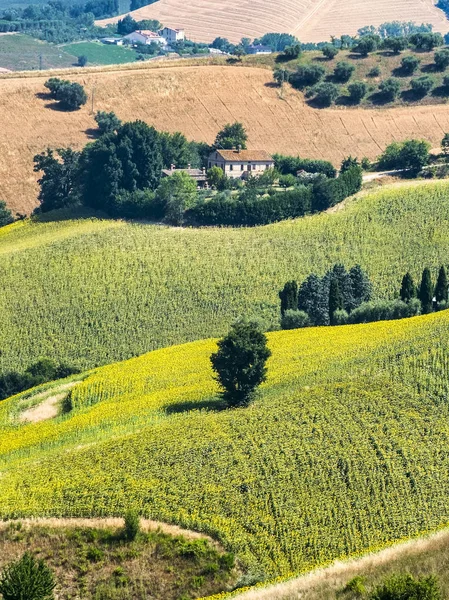 Yaz manzara yakınındaki MONTERUBBIANO (Fermo, marşlar) — Stok fotoğraf