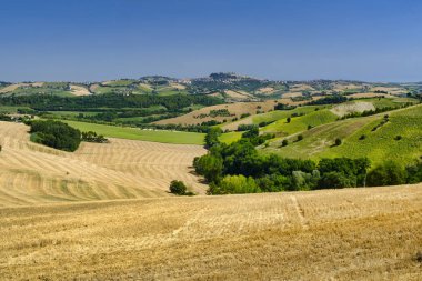 Yaz manzara yakınındaki MONTERUBBIANO (Fermo, marşlar)