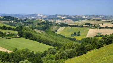 Yaz manzara yakınındaki MONTERUBBIANO (Fermo, marşlar)