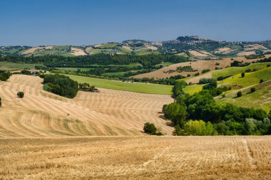 Yaz manzara yakınındaki MONTERUBBIANO (Fermo, marşlar)