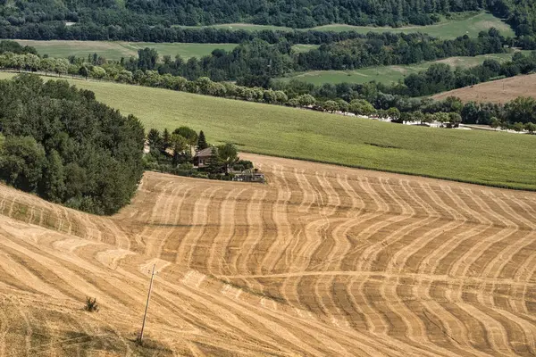 Paisaje de verano cerca de Monterubbiano (Fermo, Marcas ) —  Fotos de Stock