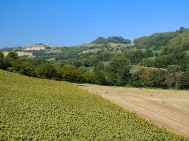 Yaz manzara yakınındaki MONTERUBBIANO (Fermo, marşlar)