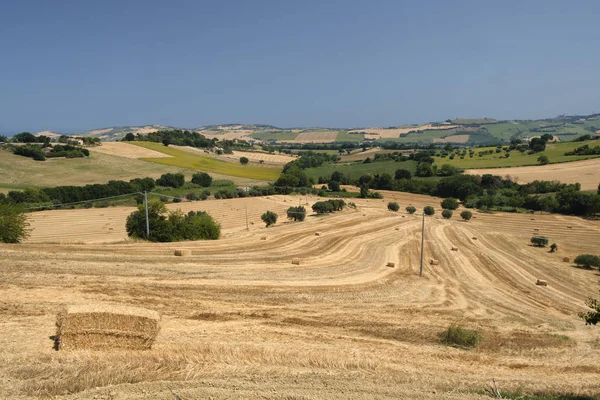 Landschaft in der Nähe von sant 'elpidio a mare (Märsche, Italien) — Stockfoto