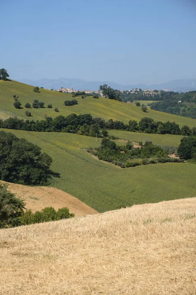Krajobraz lato w pobliżu Monterubbiano (Fermo, marsze) — Zdjęcie stockowe