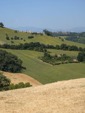 Yaz manzara yakınındaki MONTERUBBIANO (Fermo, marşlar)